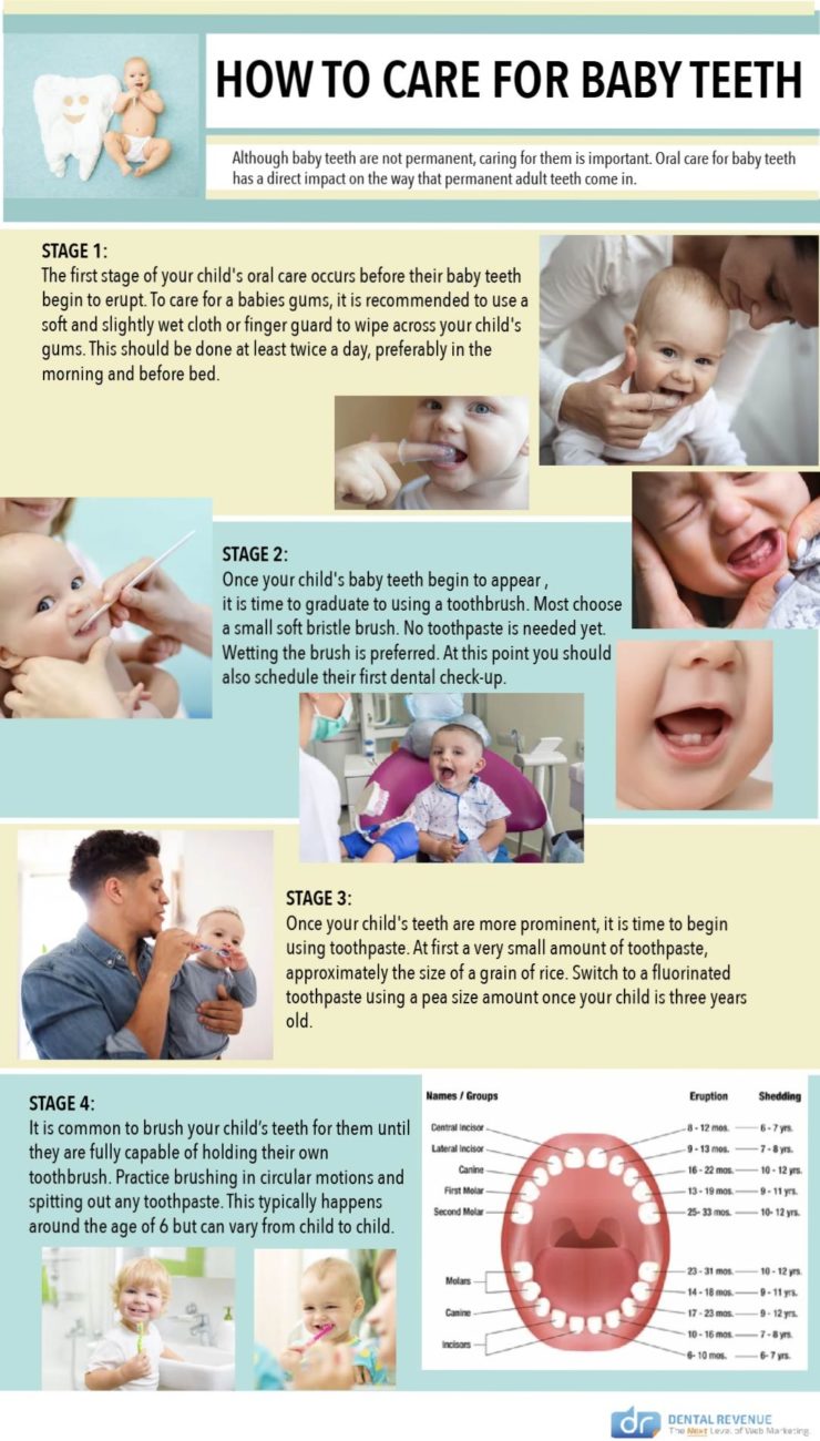 how to care for baby teeth infographic